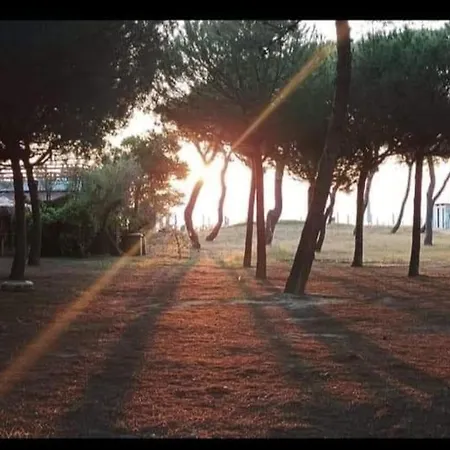 Holidayhomemanetta Two A Un Passo Dal Mare! Apartment Pineto